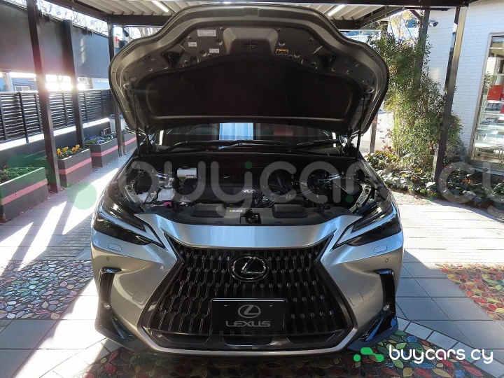 Lexus NX Серый