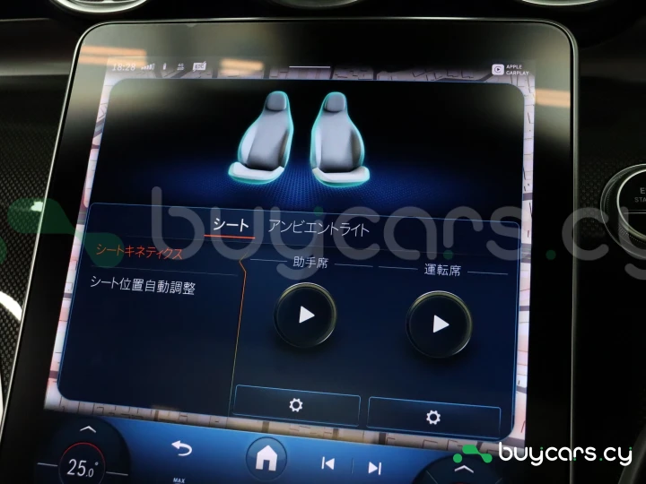 Mercedes C-class Grey