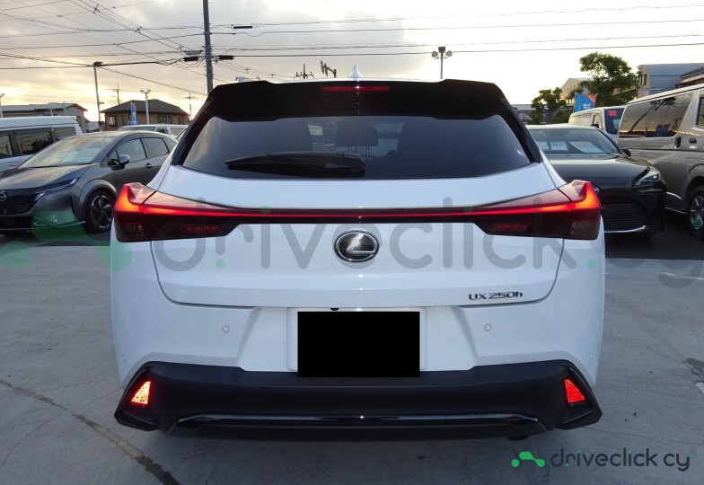 Lexus UX White