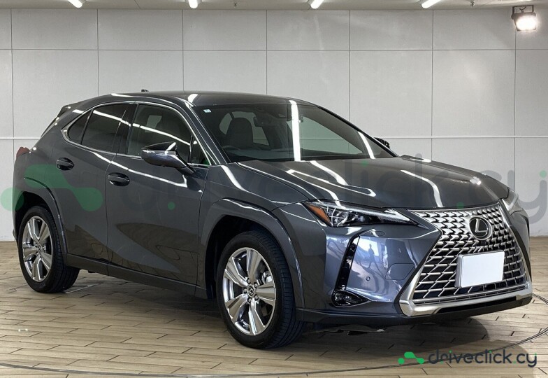 Lexus UX Grey