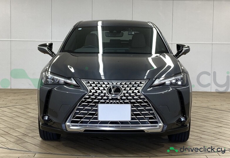 Lexus UX Grey