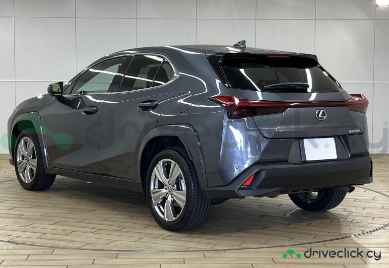 Lexus UX Grey