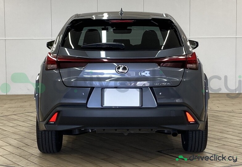 Lexus UX Grey