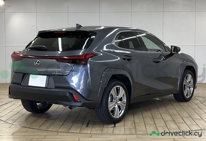 Lexus UX Grey
