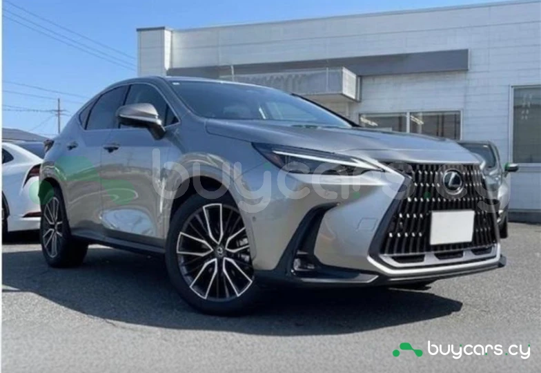 Lexus NX Серый