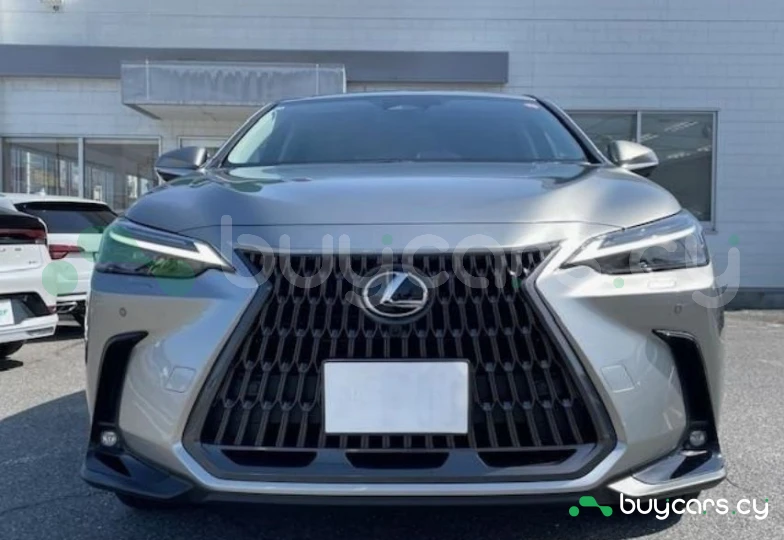 Lexus NX Серый