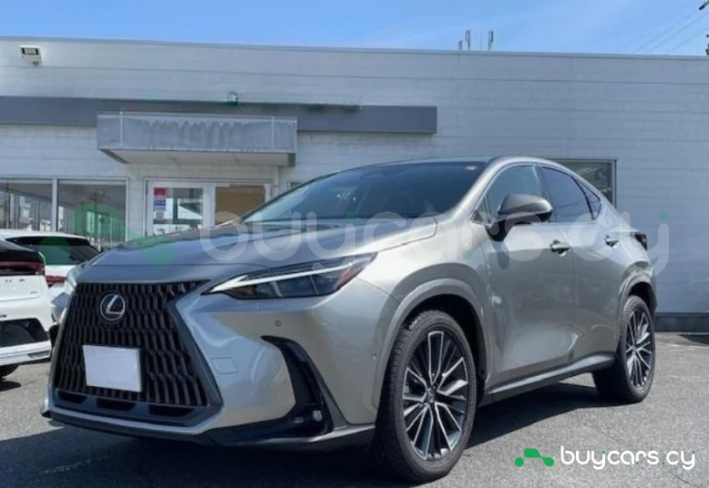 Lexus NX Серый