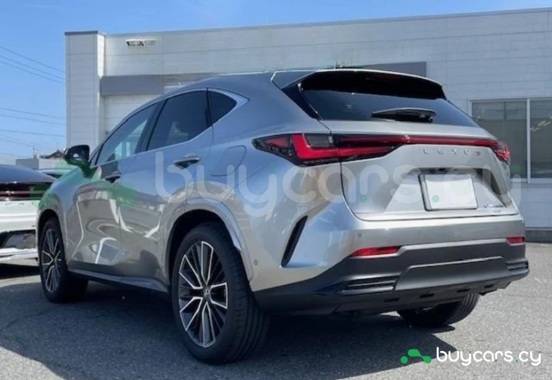 Lexus NX Серый