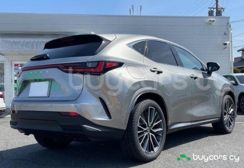 Lexus NX Серый