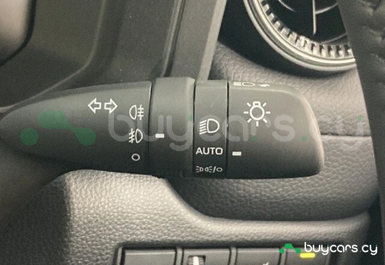 Toyota Land Cruiser 250 Коричневый