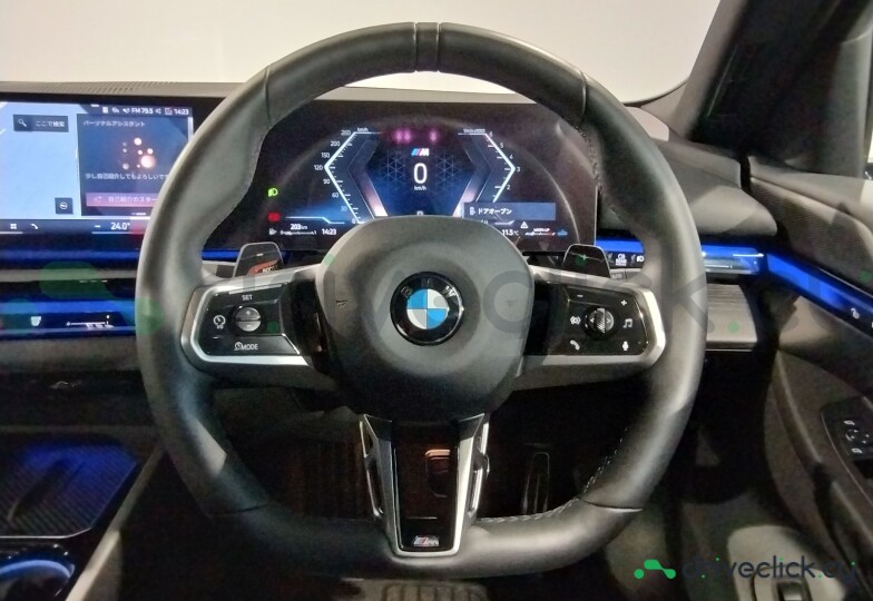 BMW 5 series Grey