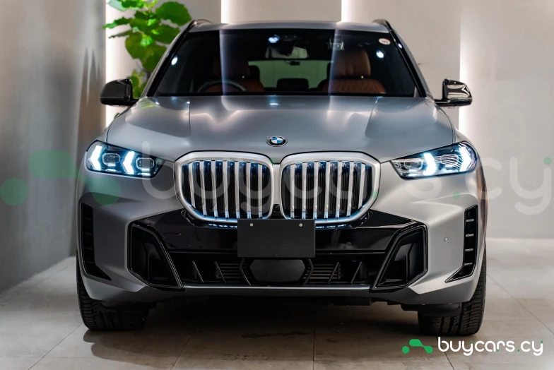 BMW X5 Серый