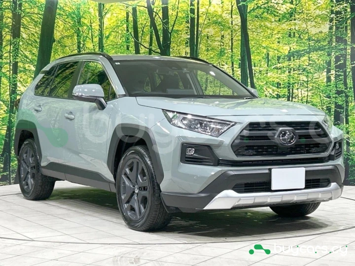 Toyota RAV4 Other