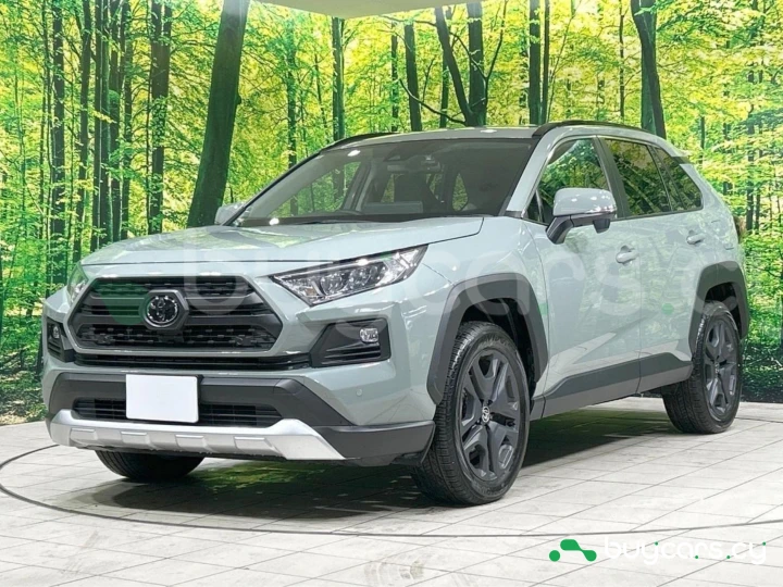 Toyota RAV4 Other