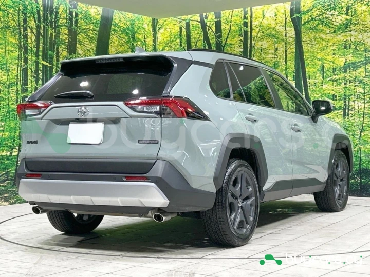 Toyota RAV4 Other