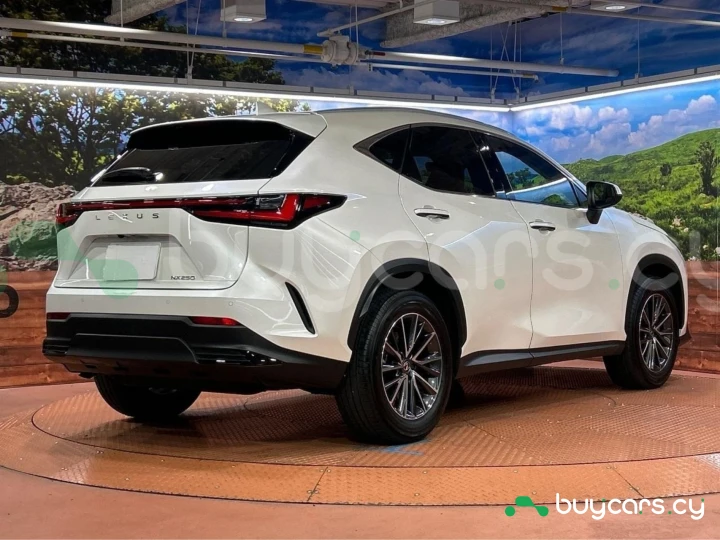 Lexus NX Белый