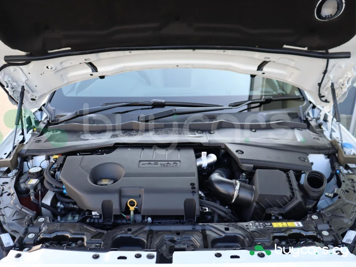 Jaguar E-Pace Белый