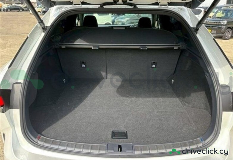 Lexus RX White