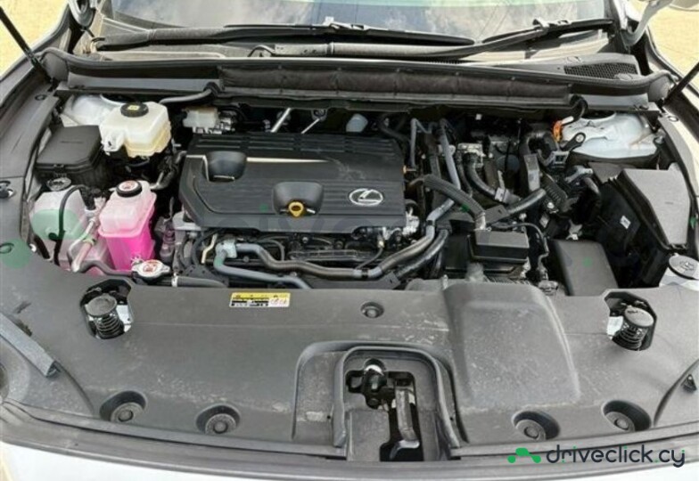 Lexus RX White