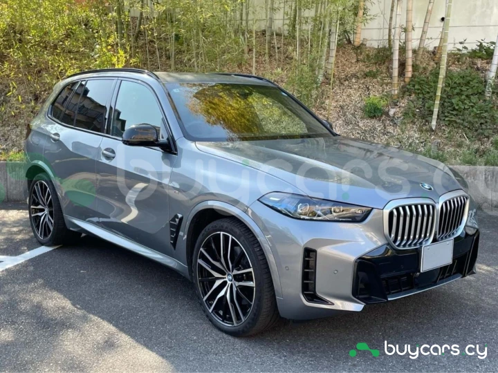 BMW X5 Серый