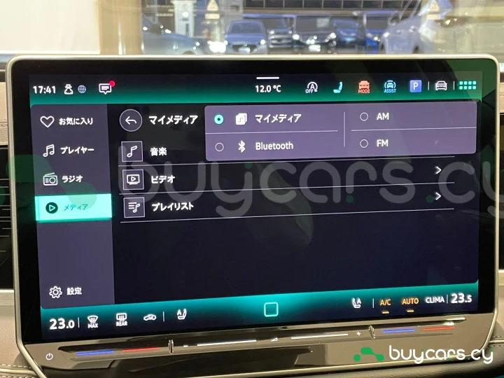 Volkswagen Passat Grey