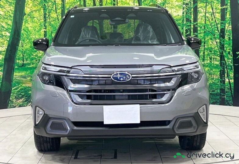 Subaru Forester Grey