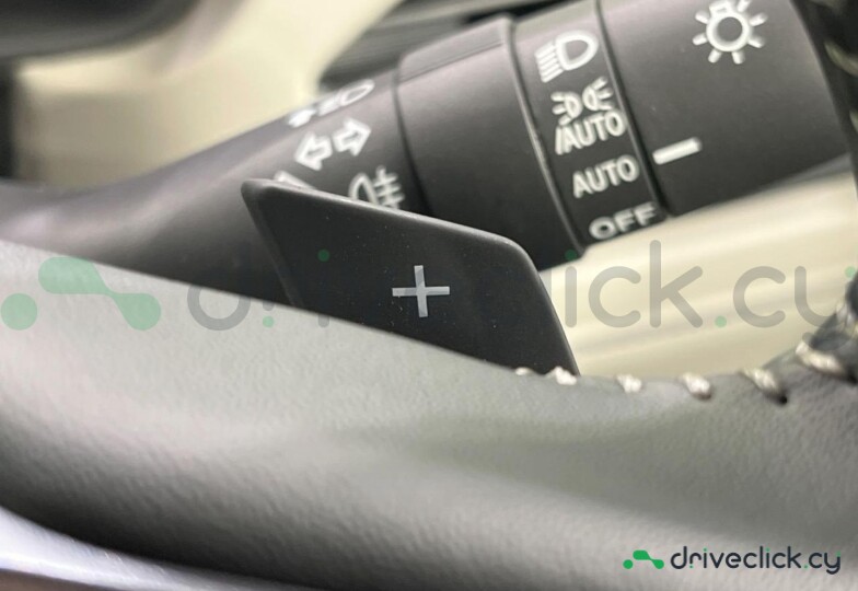 Subaru Forester Grey