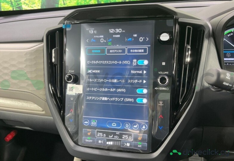 Subaru Forester Grey