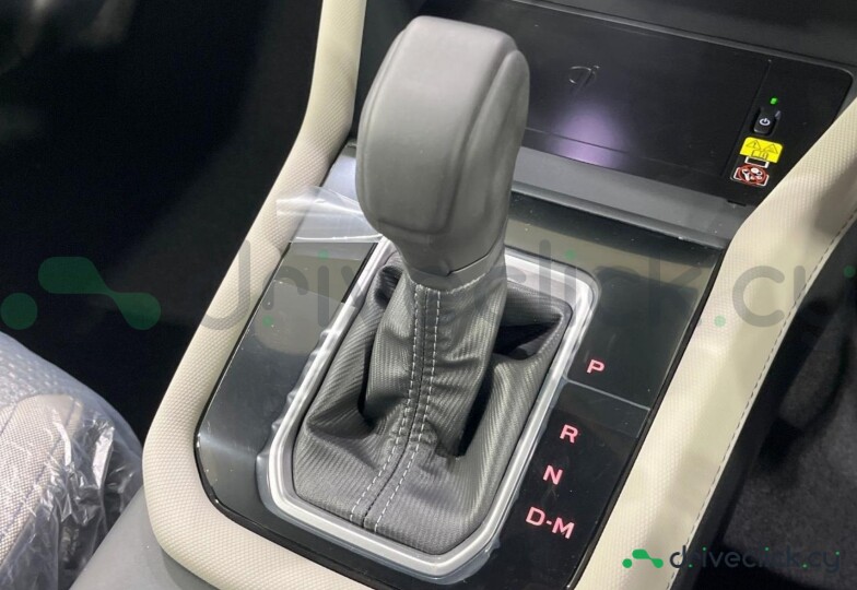 Subaru Forester Grey