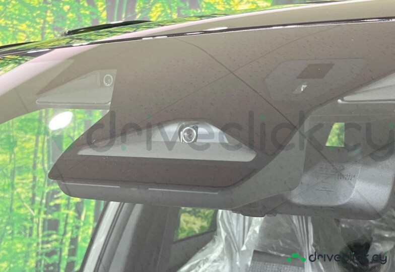 Subaru Forester Grey