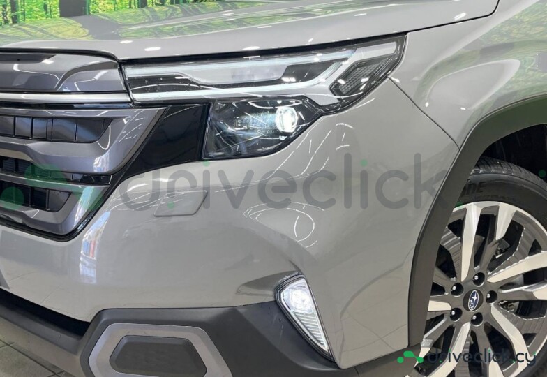 Subaru Forester Grey