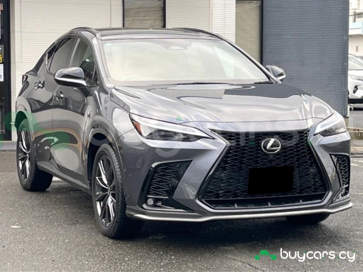 Lexus NX Серый