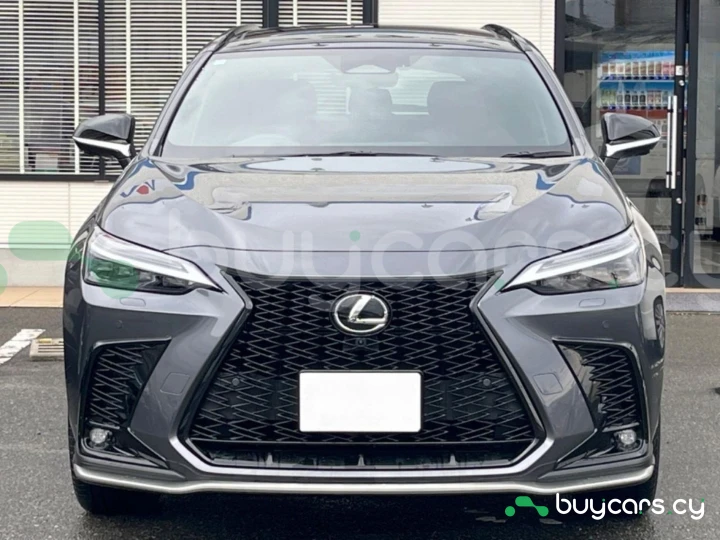 Lexus NX Серый
