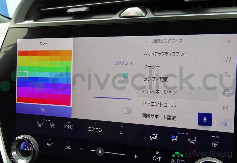 Lexus RZ Grey
