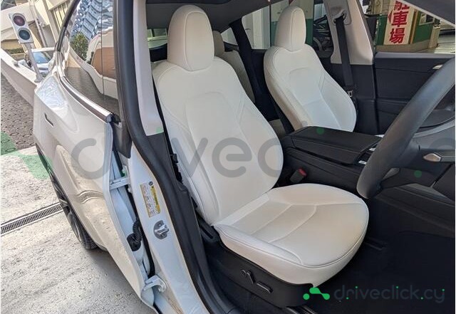 Tesla Model Y White