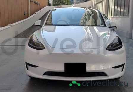 Tesla Model Y White