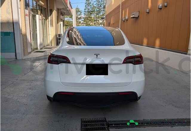 Tesla Model Y White