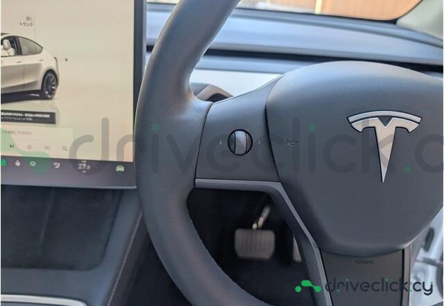 Tesla Model Y White