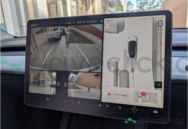 Tesla Model Y White