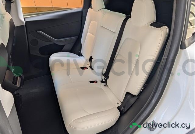 Tesla Model Y White