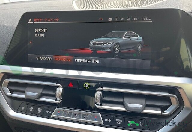 BMW 3 series Grey