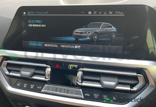 BMW 3 series Grey