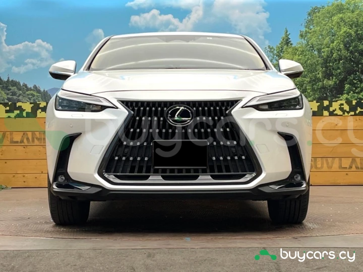 Lexus NX White