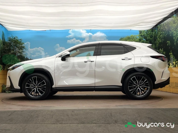 Lexus NX White
