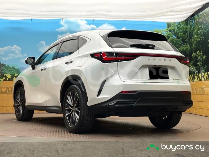 Lexus NX White
