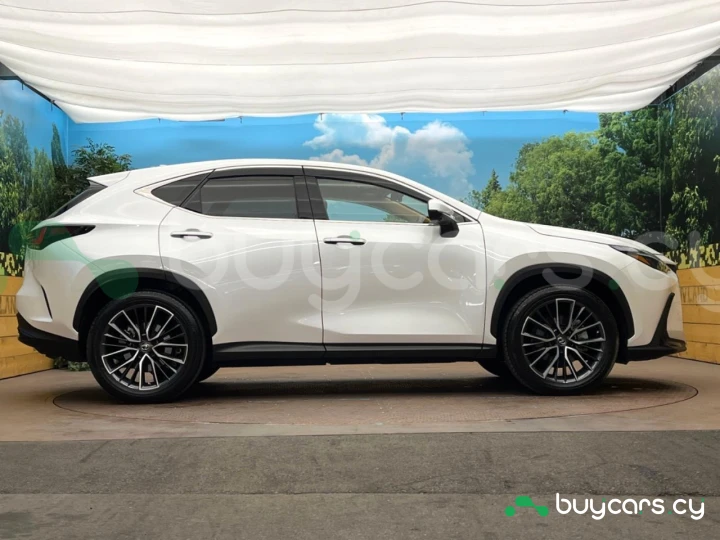 Lexus NX White