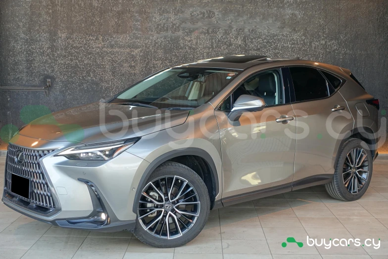 Lexus NX Серый