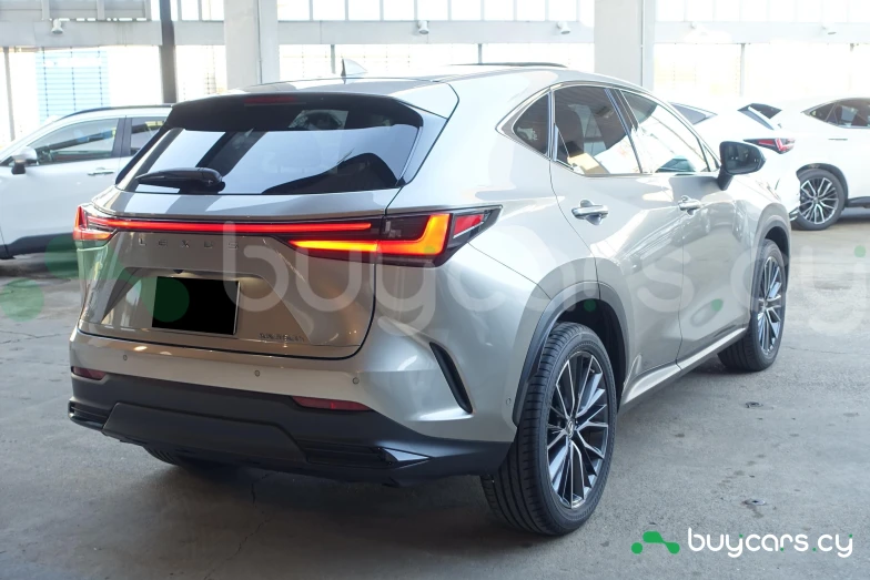 Lexus NX Серый