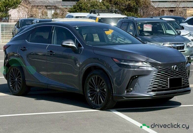 Lexus RX Grey