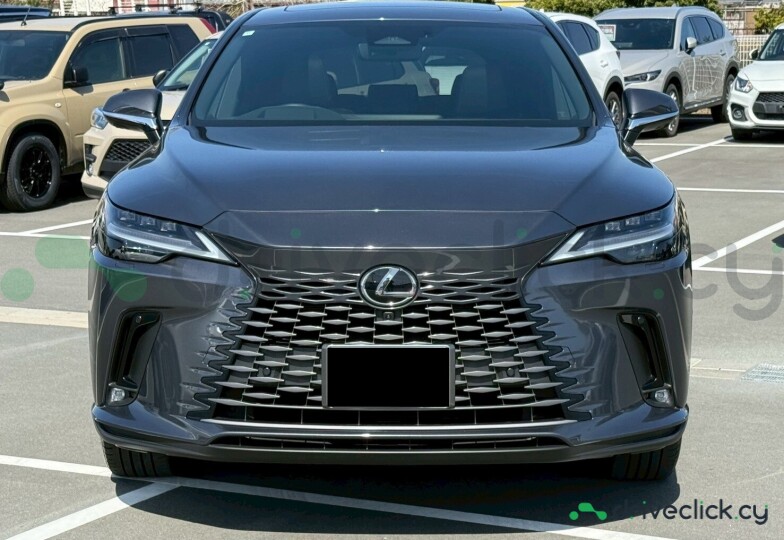 Lexus RX Grey